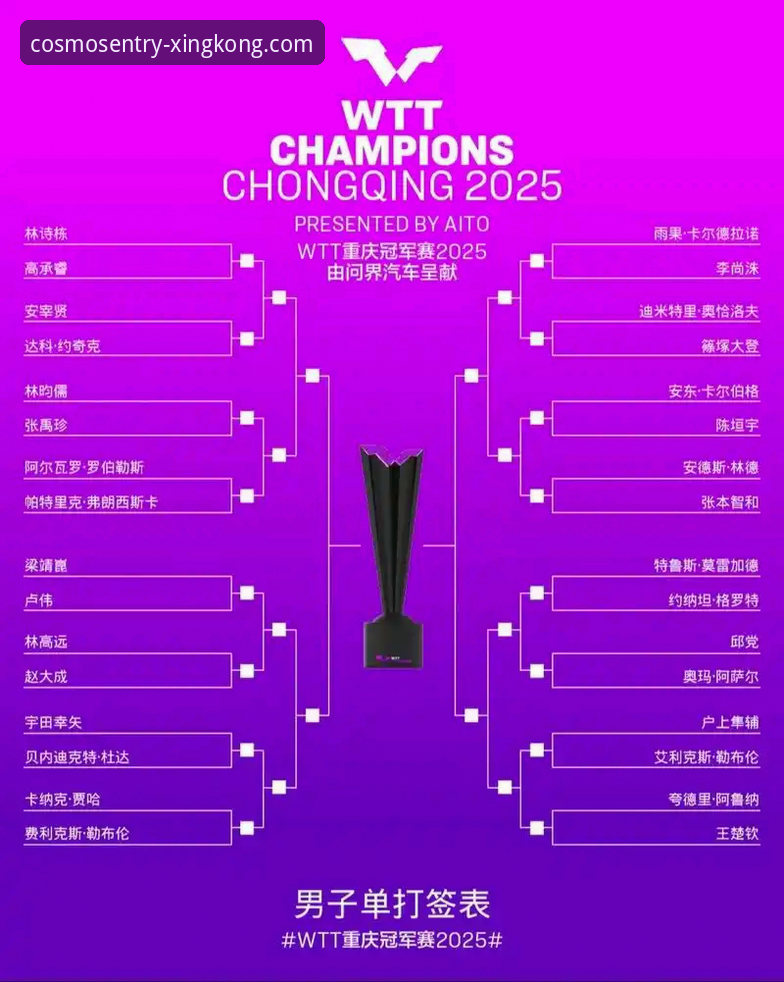 星空官网最新版下载 WTT重庆冠军赛男单决赛技术复盘与平台体验详解