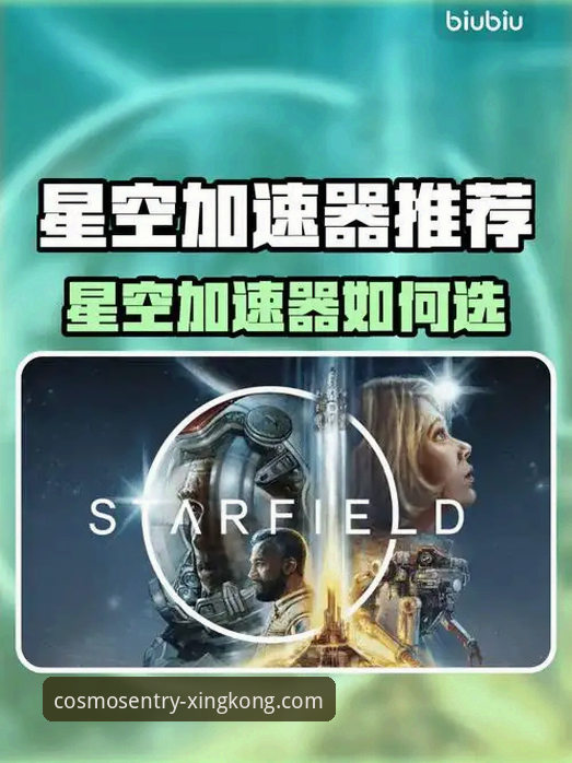 星空入口平台究竟提供了哪些不可替代的正版功能？
