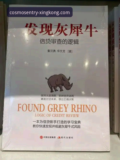 星空官网官方正版安全吗 星空入口平台安全真相:官方正版下载的深度解析与风险规避指南